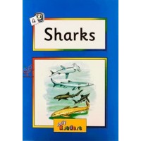 Jolly Readers Sharks